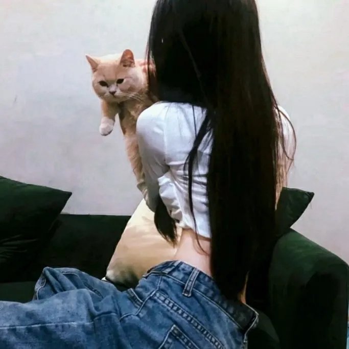 疯拳癫腿